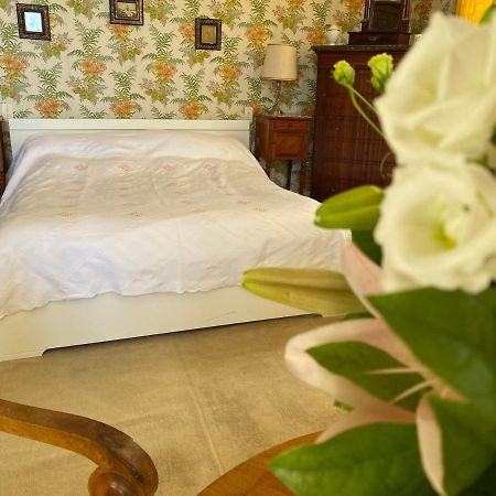 Maison D'Hotes - Villa Les Pins - Lempaut ภายนอก รูปภาพ