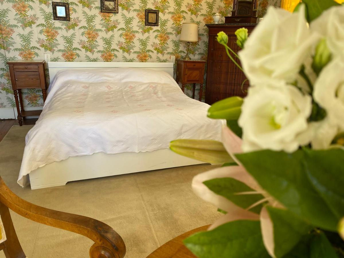 Maison D'Hotes - Villa Les Pins - Lempaut ภายนอก รูปภาพ
